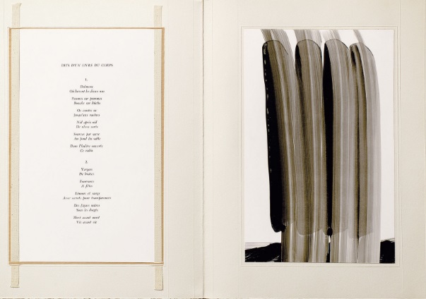 - 12 Dits- de Jean-Claude Renard.jpg