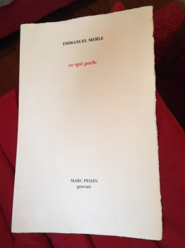 Emmanuel Merle - Ce qui parle (1)