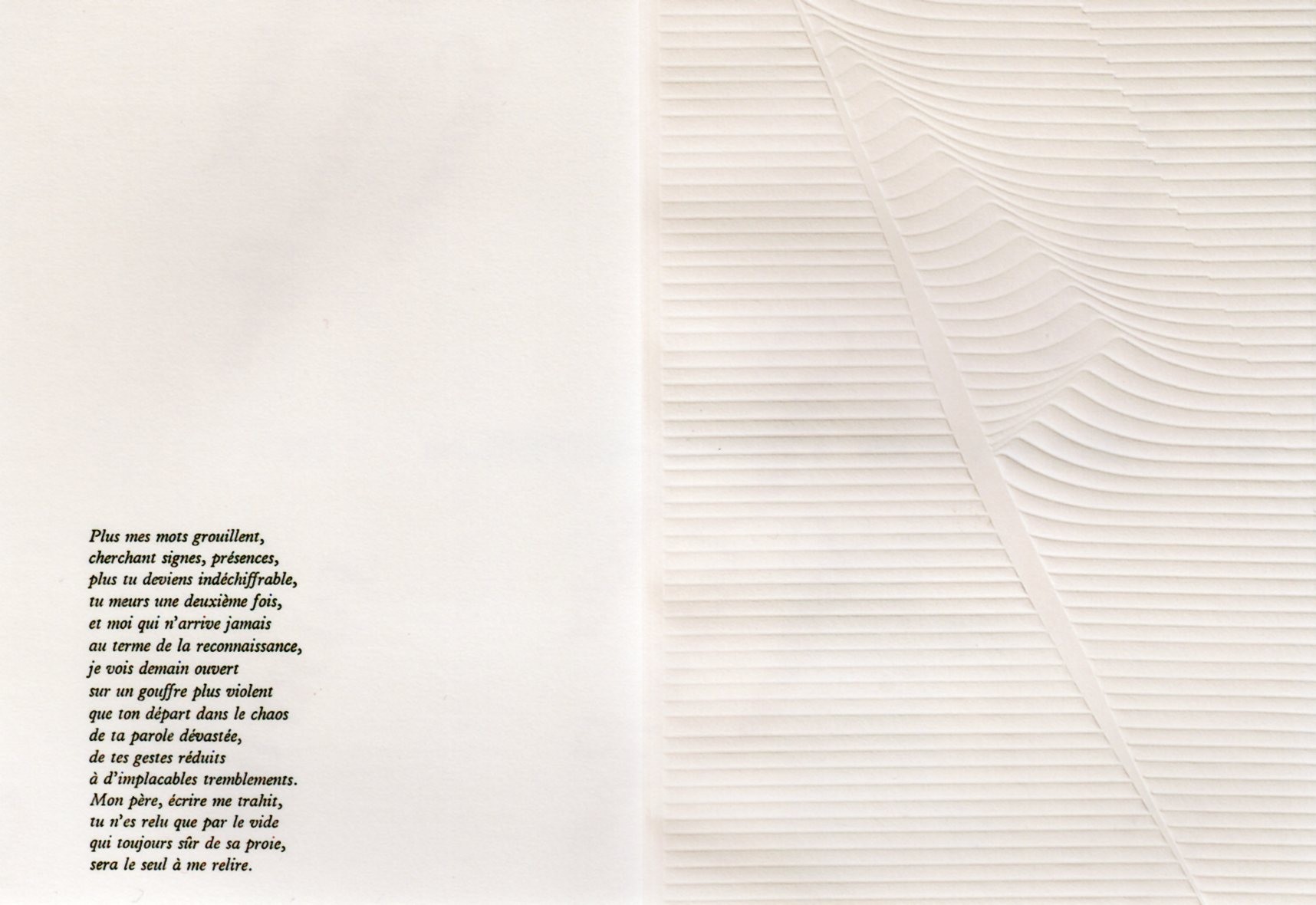 élégies Pour Le Temps De Vivre Richard Rognet